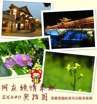 佳能 PowerShot SX240 HS 长焦卡片机供应信息